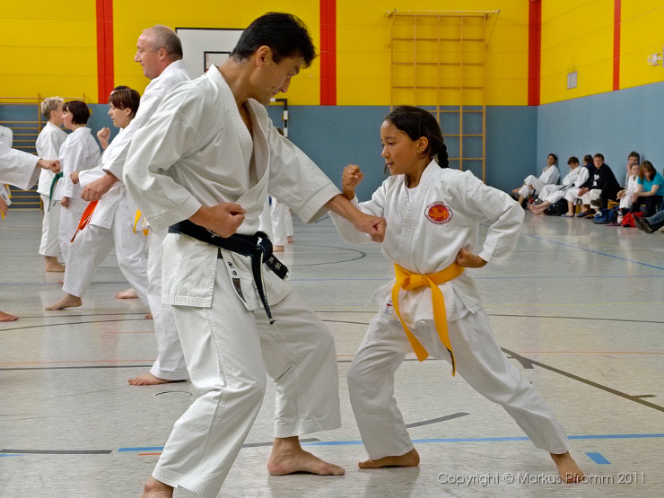 Akita-Lg-2011-2
