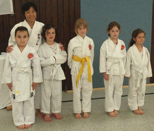 Niino 2013