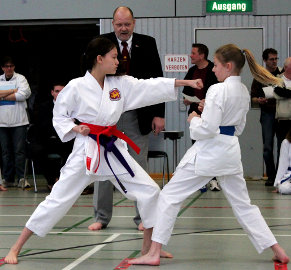 MDM2013