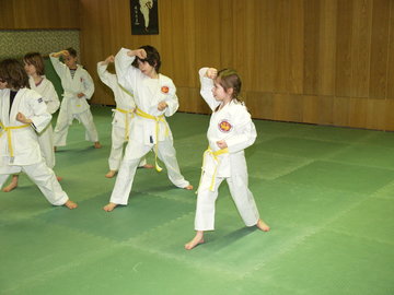 Karate-Schlümpfe