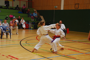 DSC_9540.jpg